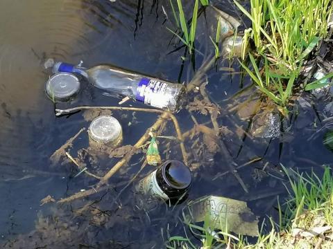 Światowy Dzień Wody: posprzątajmy nad brzegiem Dobrzynki Życie Pabianic