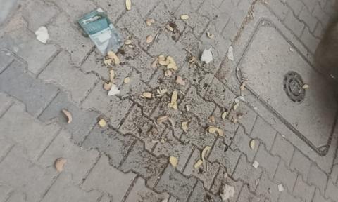 Wyrzuciła śmieci przez balkon na chodnik Życie Pabianic